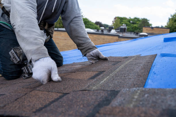 Roof Gutter Cleaning in Dunmore, PA